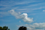23rd Aug 2023 - Clouds on a very hot humid day