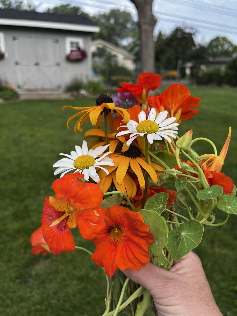 IMG_2110 morning bouquet  by pennyrae