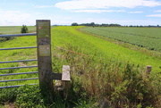 24th Aug 2023 - An old dike meanders through the landscape.