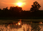 23rd Aug 2023 - Baker Wetlands Sunset 8-23-23