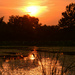 Baker Wetlands Sunset 8-23-23 by kareenking