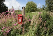 24th Aug 2023 - Remote Post Box