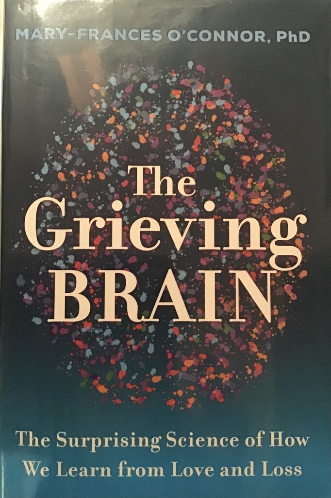 The grieving brain by antlamb