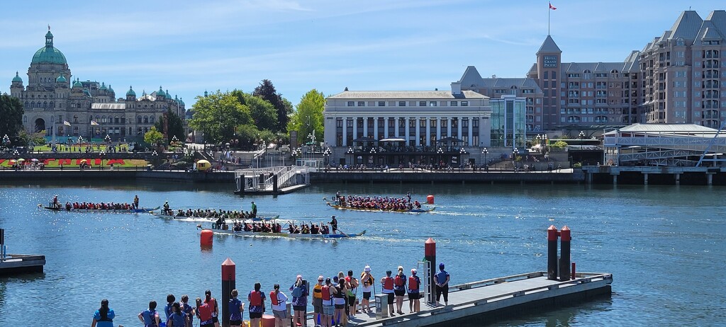 Dragon Boat Races by kimmer50