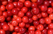 7th Jul 2023 - Cherries