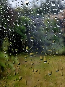 24th Aug 2023 - Rain Rain Go Away...