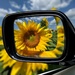 Rear View Mirror  by radiogirl