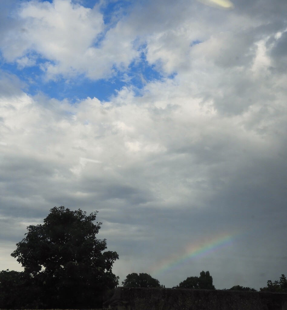 Spot the rainbow….. by tiaj1402