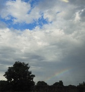 24th Aug 2023 - Spot the rainbow…..