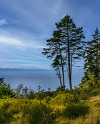 24th Aug 2023 - Salish Sea View