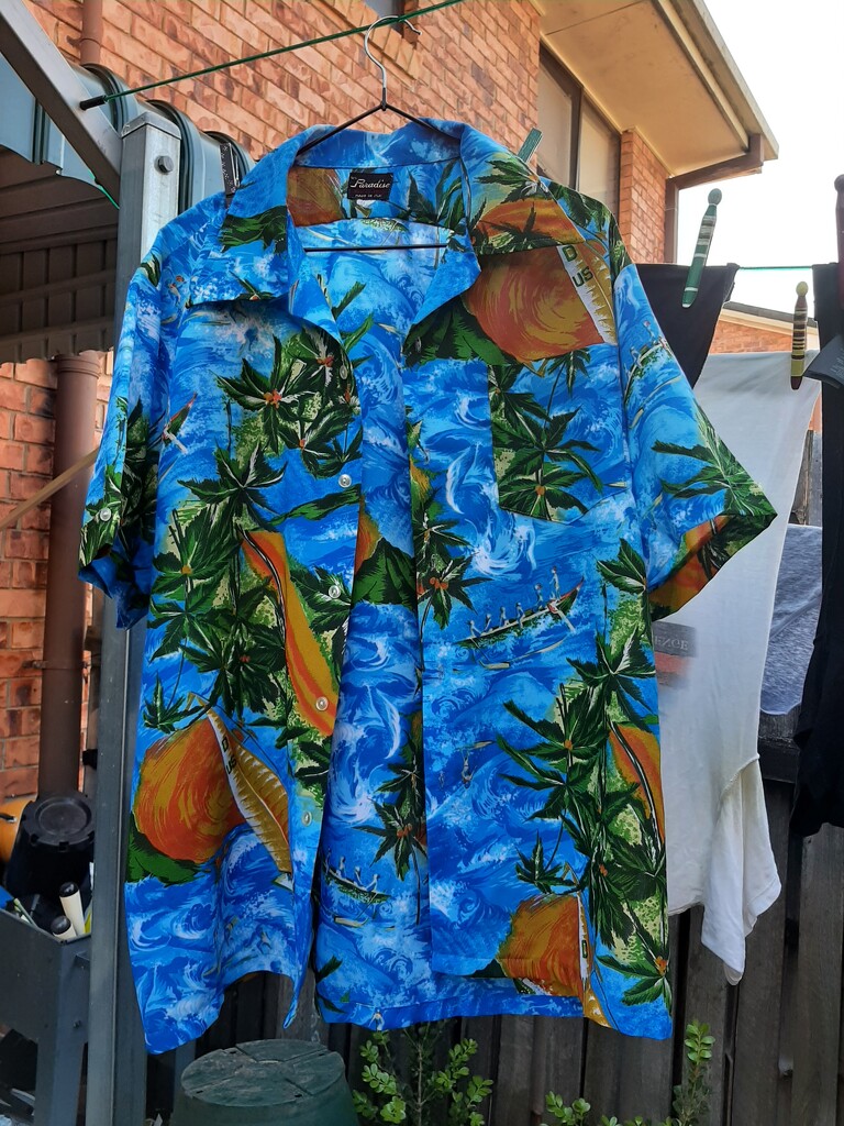 Hawaiian Shirt 1 by mozette