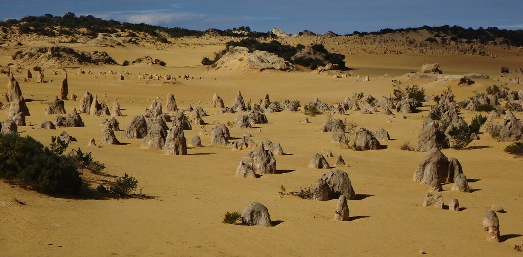 The Pinnacles Desert.... by robz