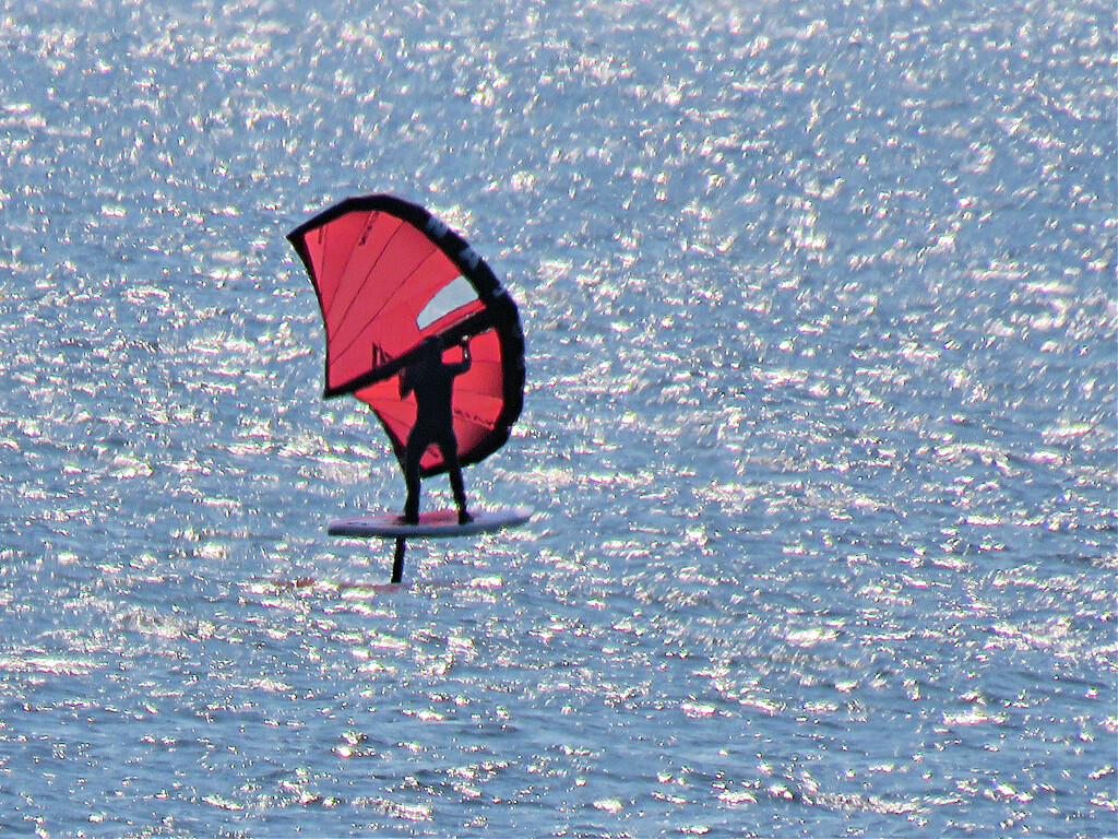 Red Hydrofoil Sail by seattlite