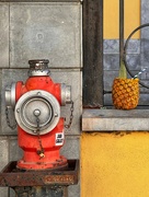 20th Aug 2023 - The Fire Hydrant and the Pineapple 
