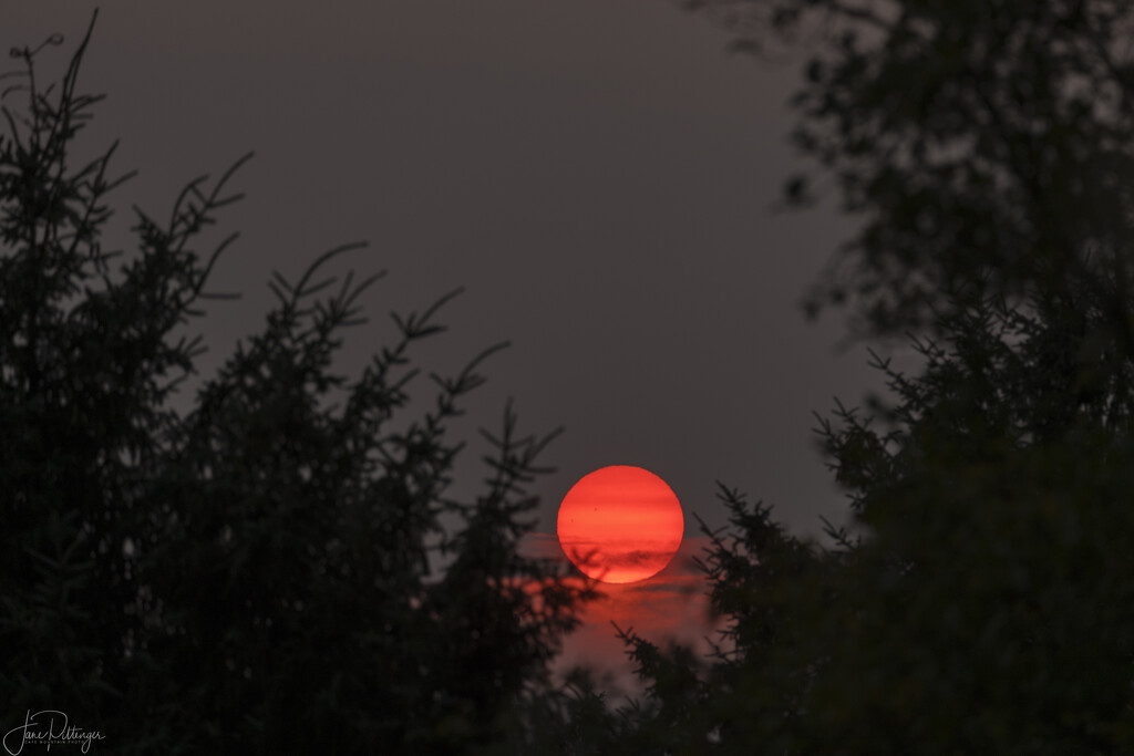 Eerie Red Sun  by jgpittenger