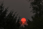 24th Aug 2023 - Eerie Red Sun 