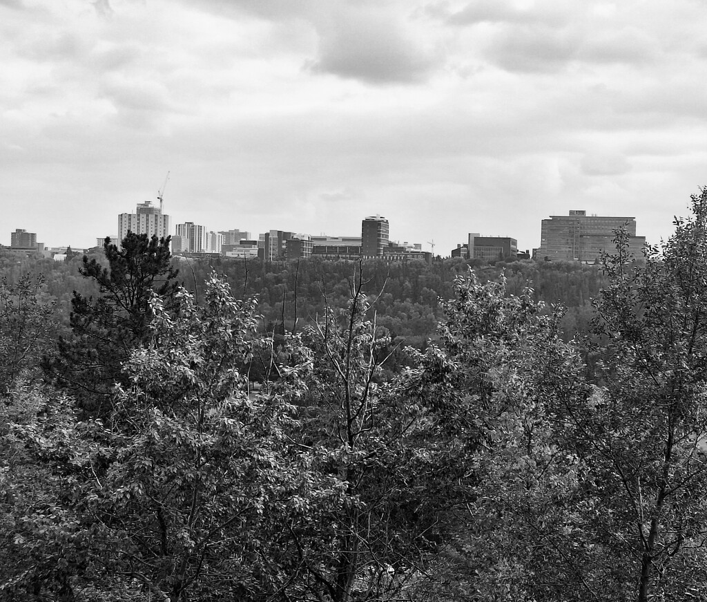 Edmonton In Black and White .....The Other Side by bkbinthecity