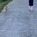 Just Walkin’ the Dog by narayani