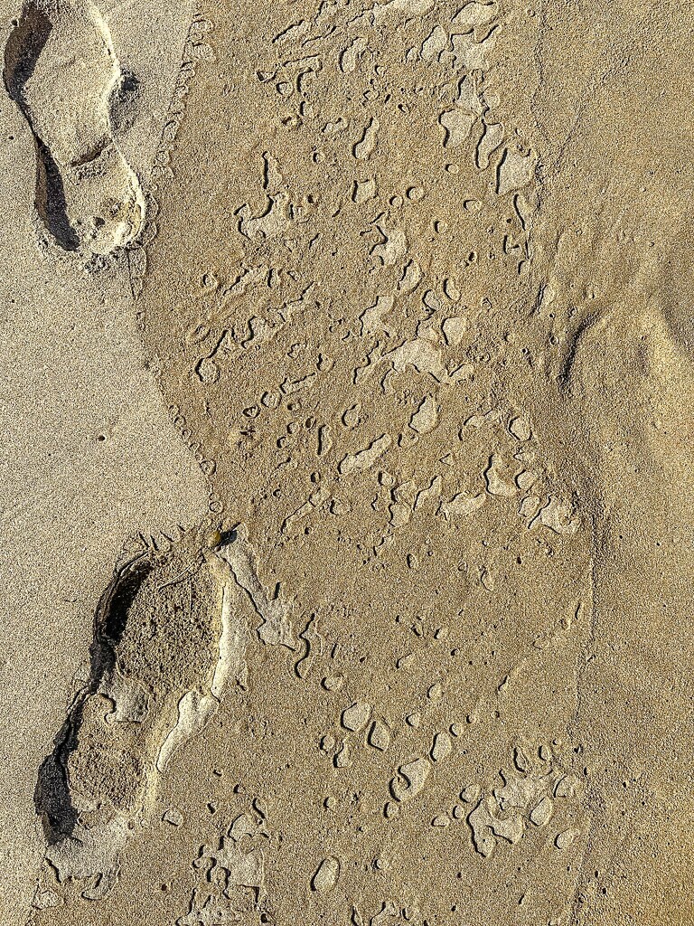Footprints, optical illusion by pusspup