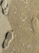 26th Aug 2023 - Footprints, optical illusion