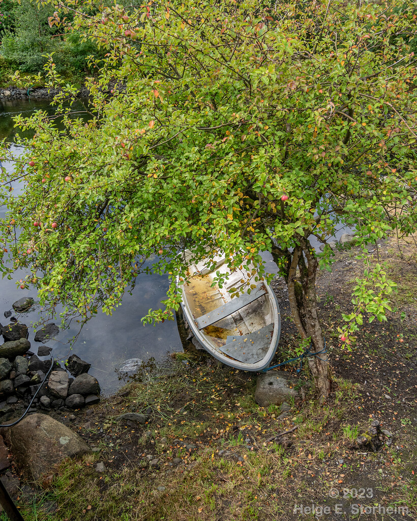 The boat and the apple tree by helstor365