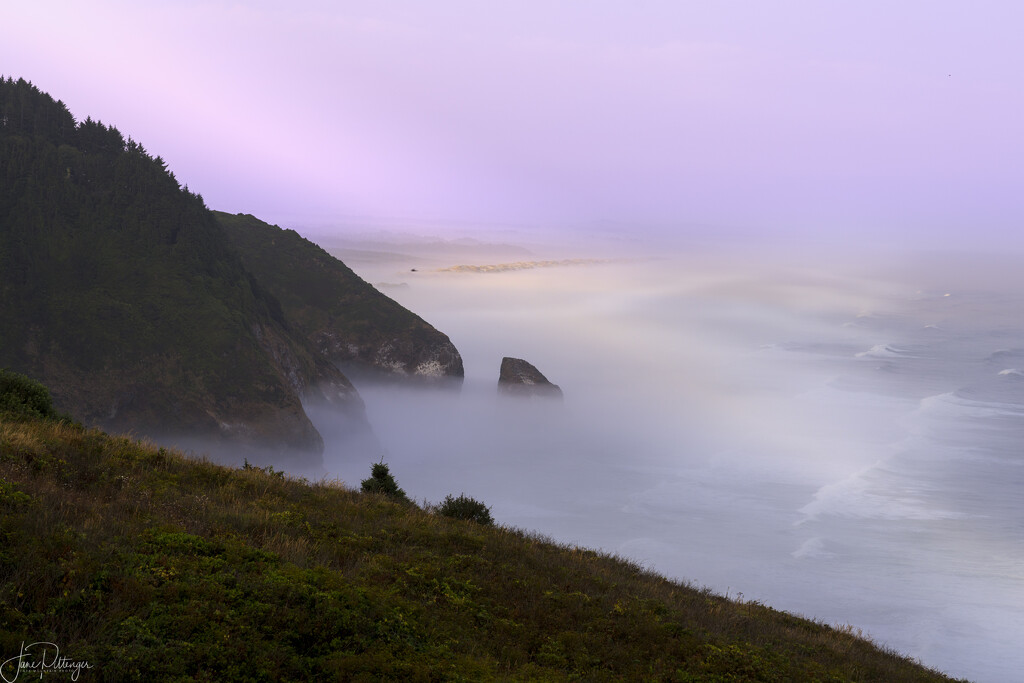 Foggy Dawn from Sea Lion Caves by jgpittenger