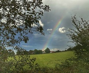 26th Aug 2023 - After the shower comes the rainbow 🌈 