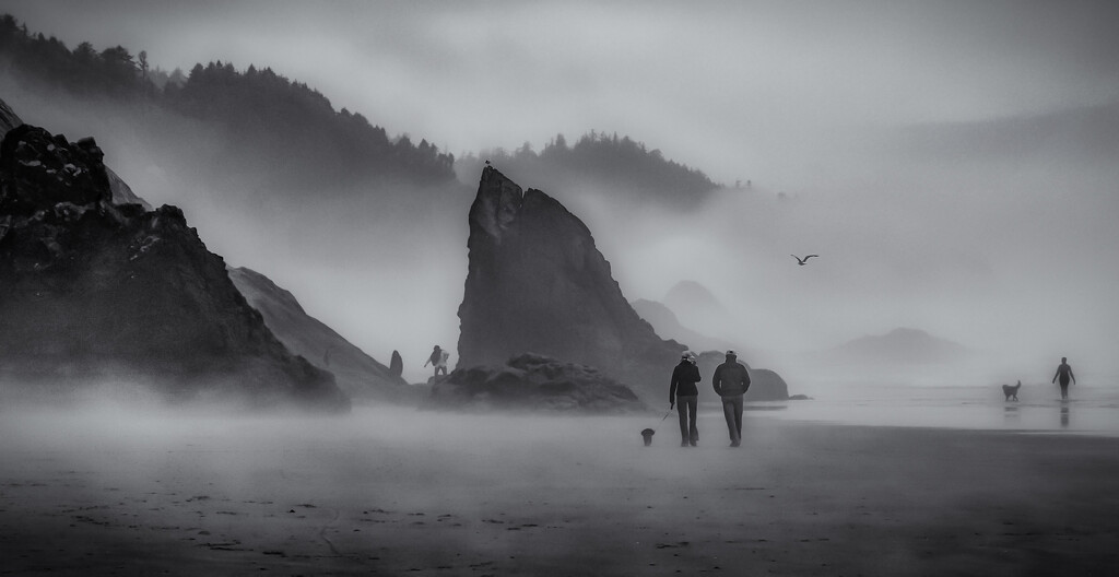 Foggy Morning ~ Hug Point, Oregon by 365projectorgbilllaing