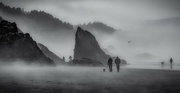 26th Aug 2023 - Foggy Morning ~ Hug Point, Oregon