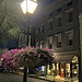 King Street at night, Charleston by congaree