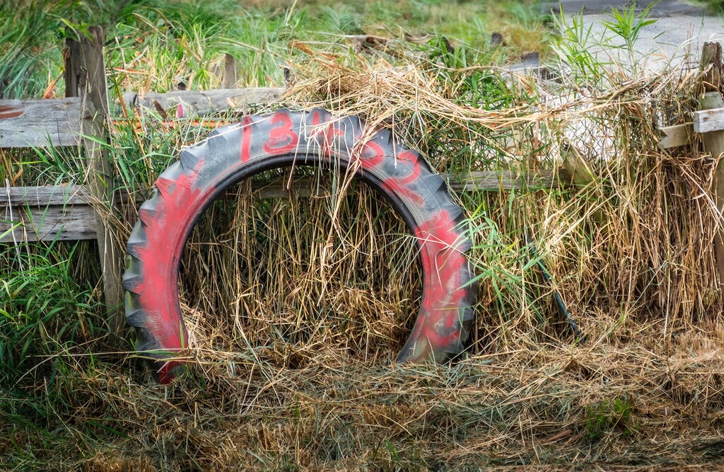 Old Tire by cdcook48