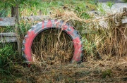 26th Aug 2023 - Old Tire