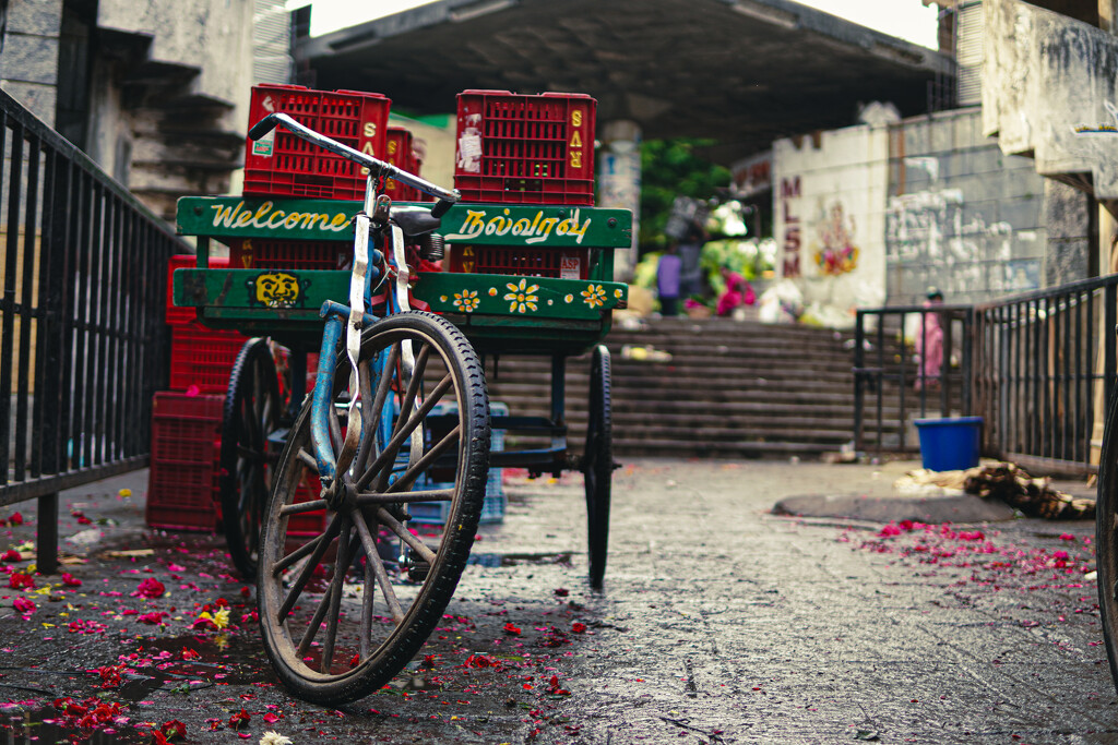 Cycle with a flowers carrier at market by sudo