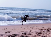 12th Aug 2023 - Somersault at beach
