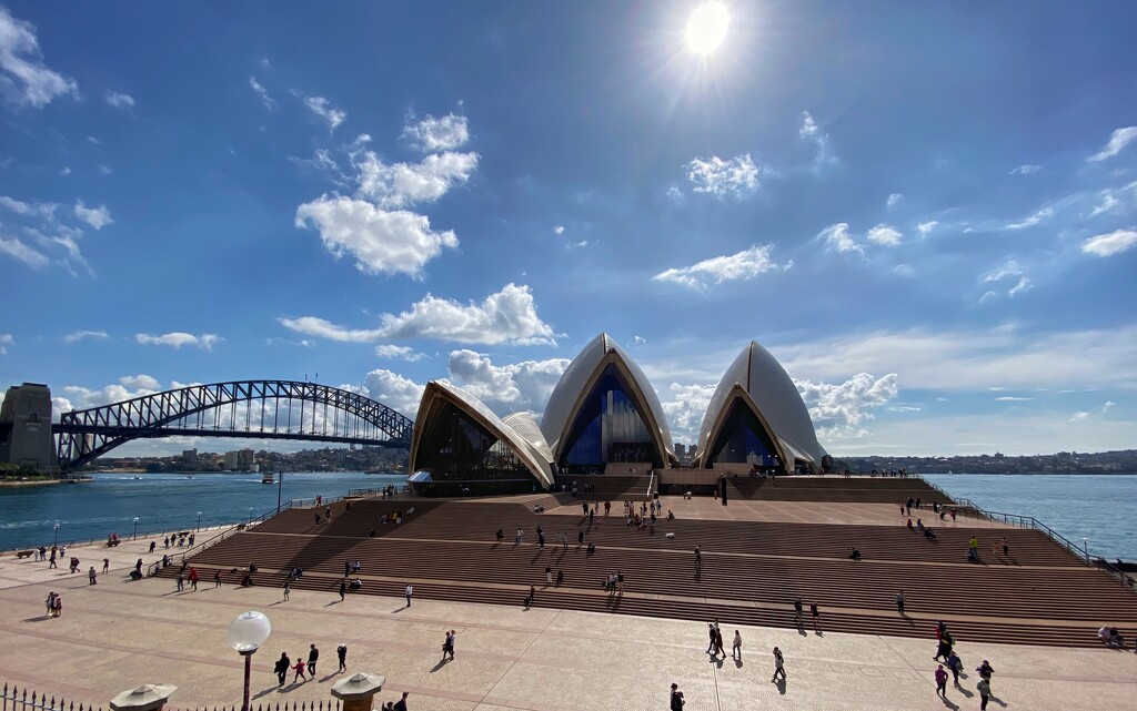 Opera House and  Sydney Harbour Bridge from the Royal Botanical Gardens.  by johnfalconer