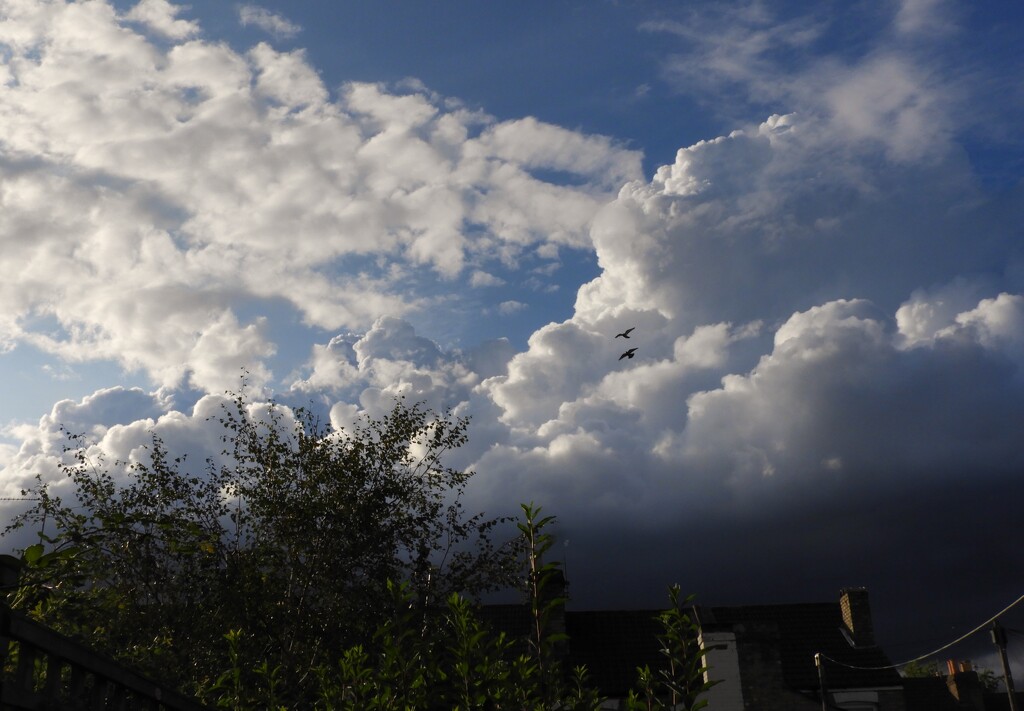 Back garden cloudscape by tiaj1402