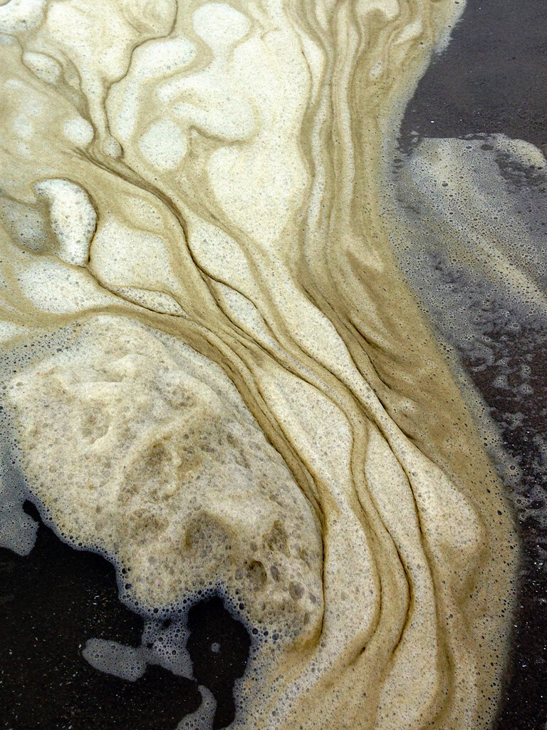 Sea Foam on the Beach ~ Oregon Coast by 365projectorgbilllaing