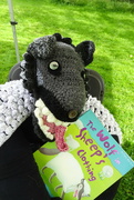 26th Aug 2023 - went to Sedbergh Sheep Fest