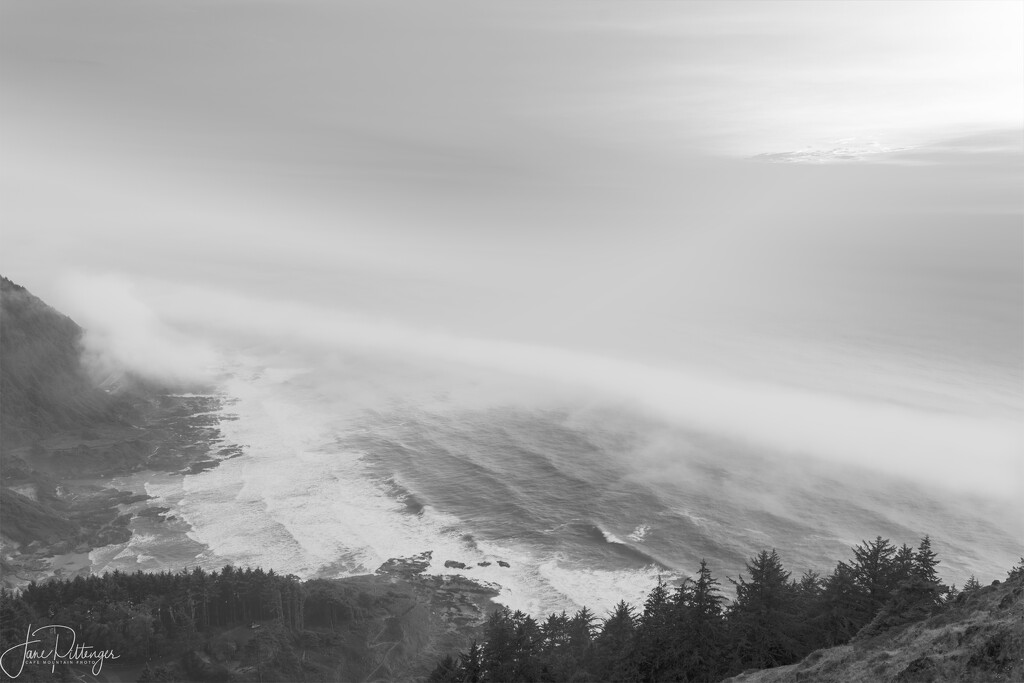 B and W Cape Perpetua by jgpittenger