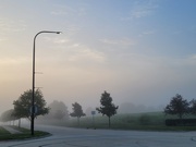 24th Aug 2023 - Fog or smog?
