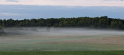 27th Aug 2023 - Morning mist