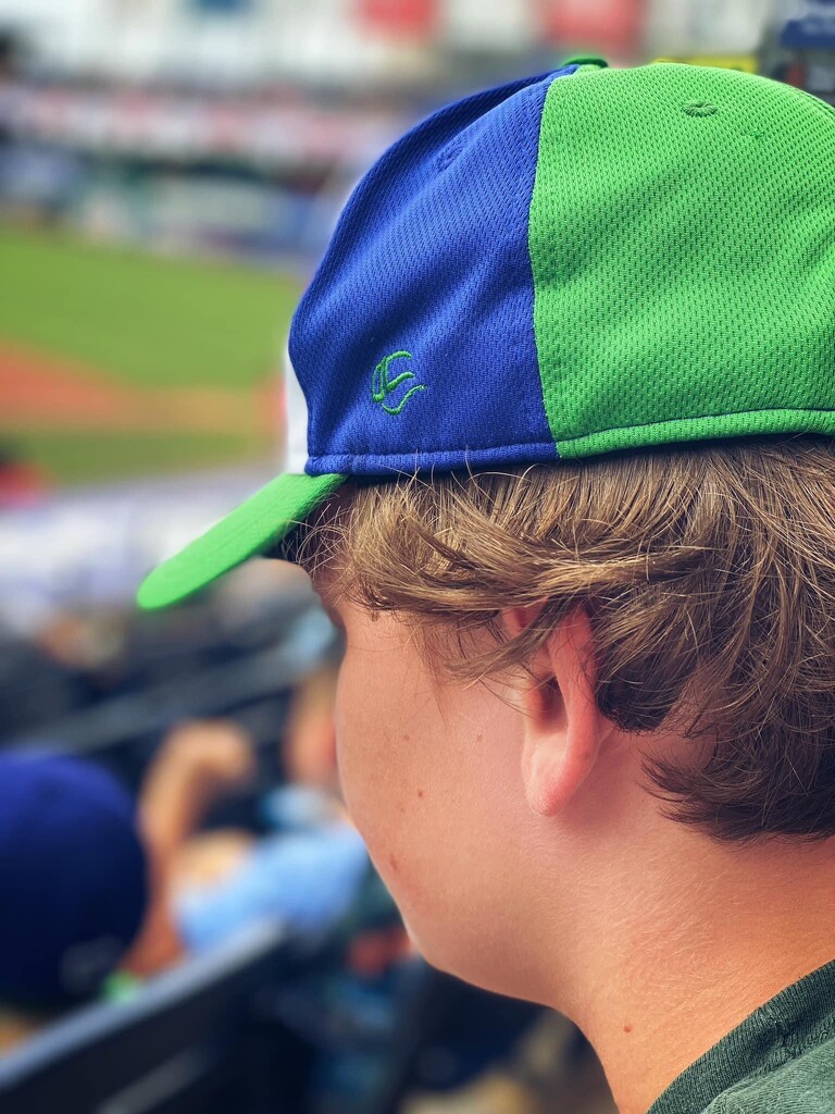 Day 190  “Take Me Out To The (Yard Goats) Ballgame  by sheilalorson