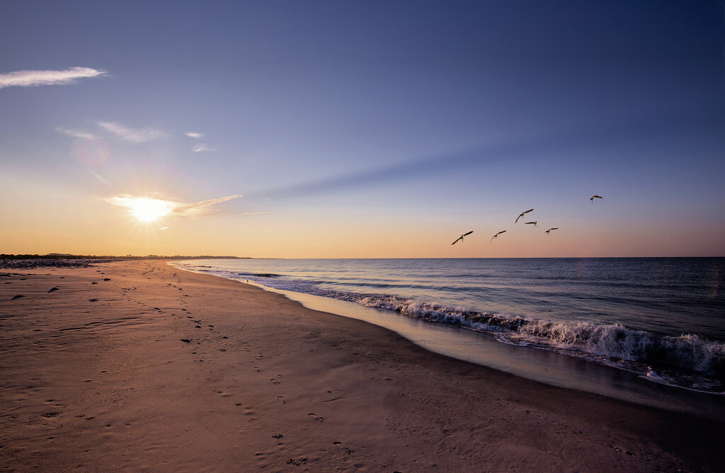 Cape May Morning Splendour by pdulis