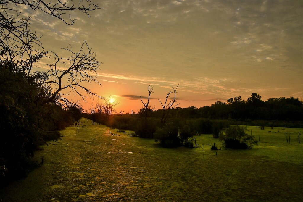 Baker Wetlands Green Guts Sunset by kareenking
