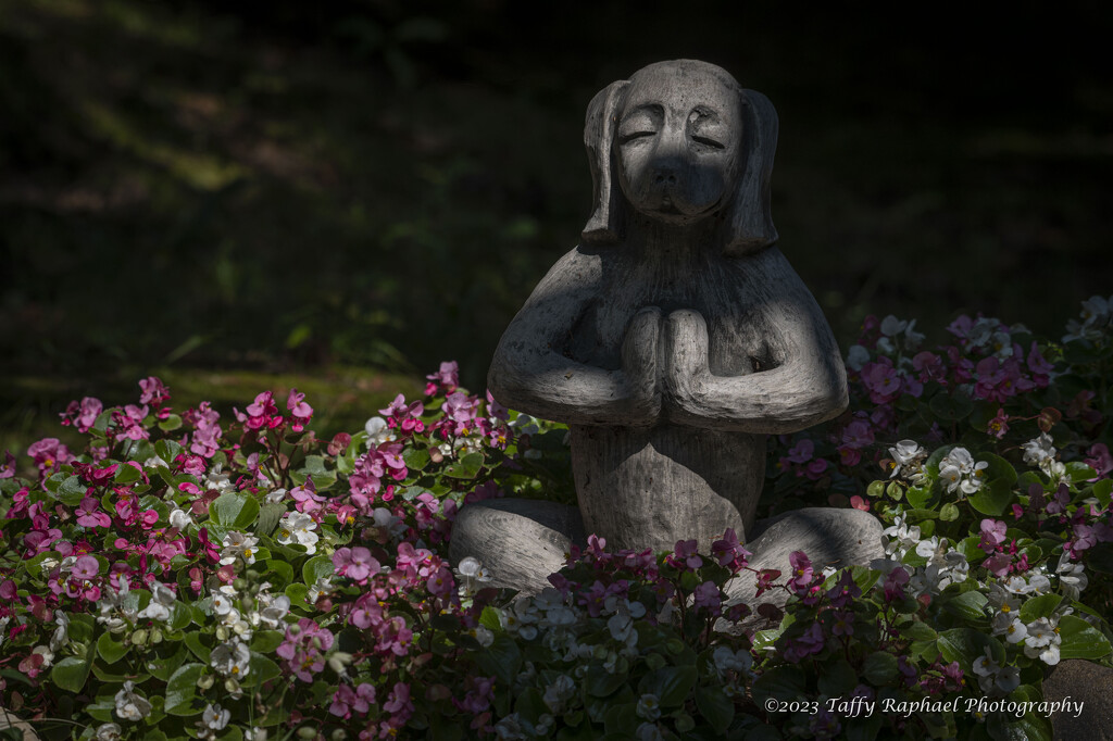 Serenity in the Garden by taffy
