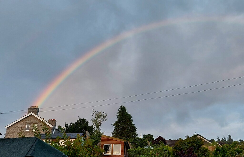 The rainbow looked like it was coming out of the chimney of the house behind our garden  by samcat