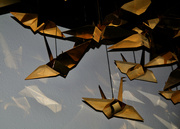 27th Aug 2023 - Origami cranes, Oklahoma City National Memorial Museum