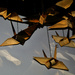 Origami cranes, Oklahoma City National Memorial Museum by eudora