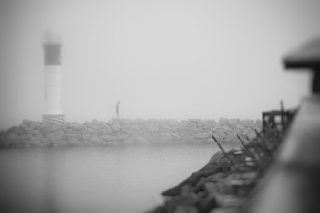 Foggy Morning by aydyn