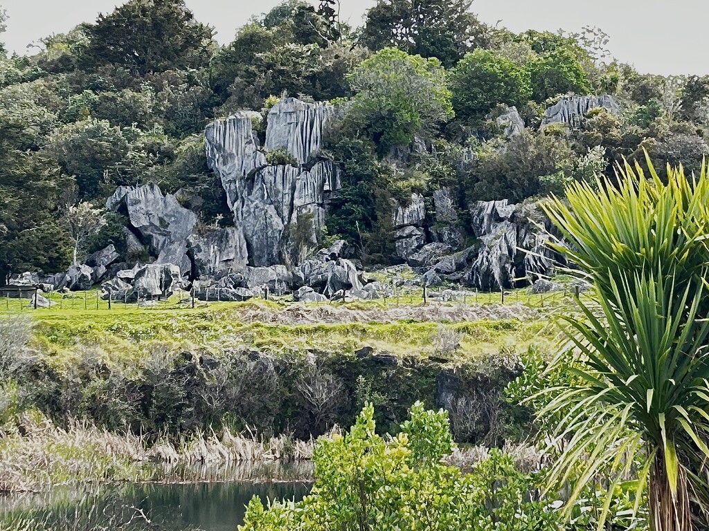 Taken at the Hikurangi Limestone Reserve, stopped there for lunch unfortunately I only had my cell ph  by Dawn